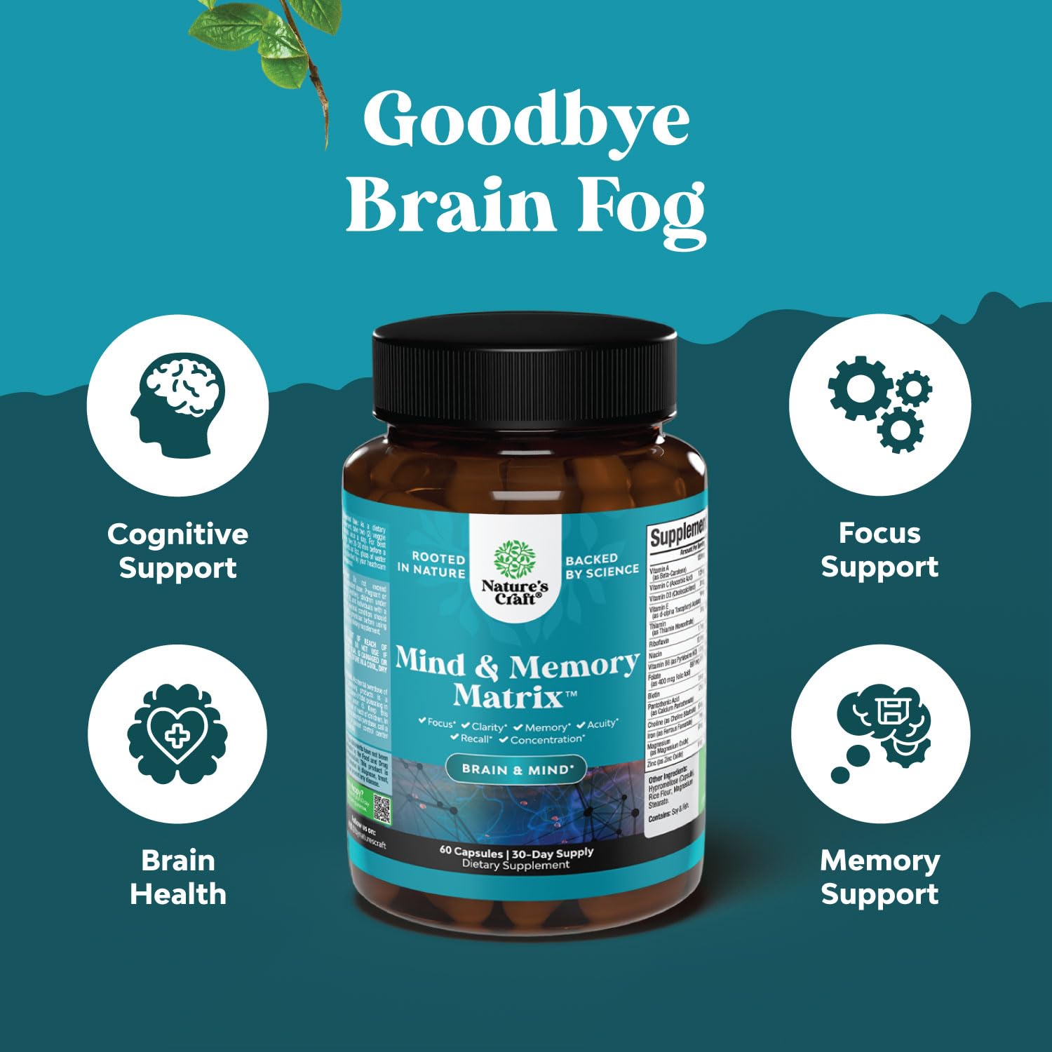 Best Brain Fog Supplements for Middle Age Review