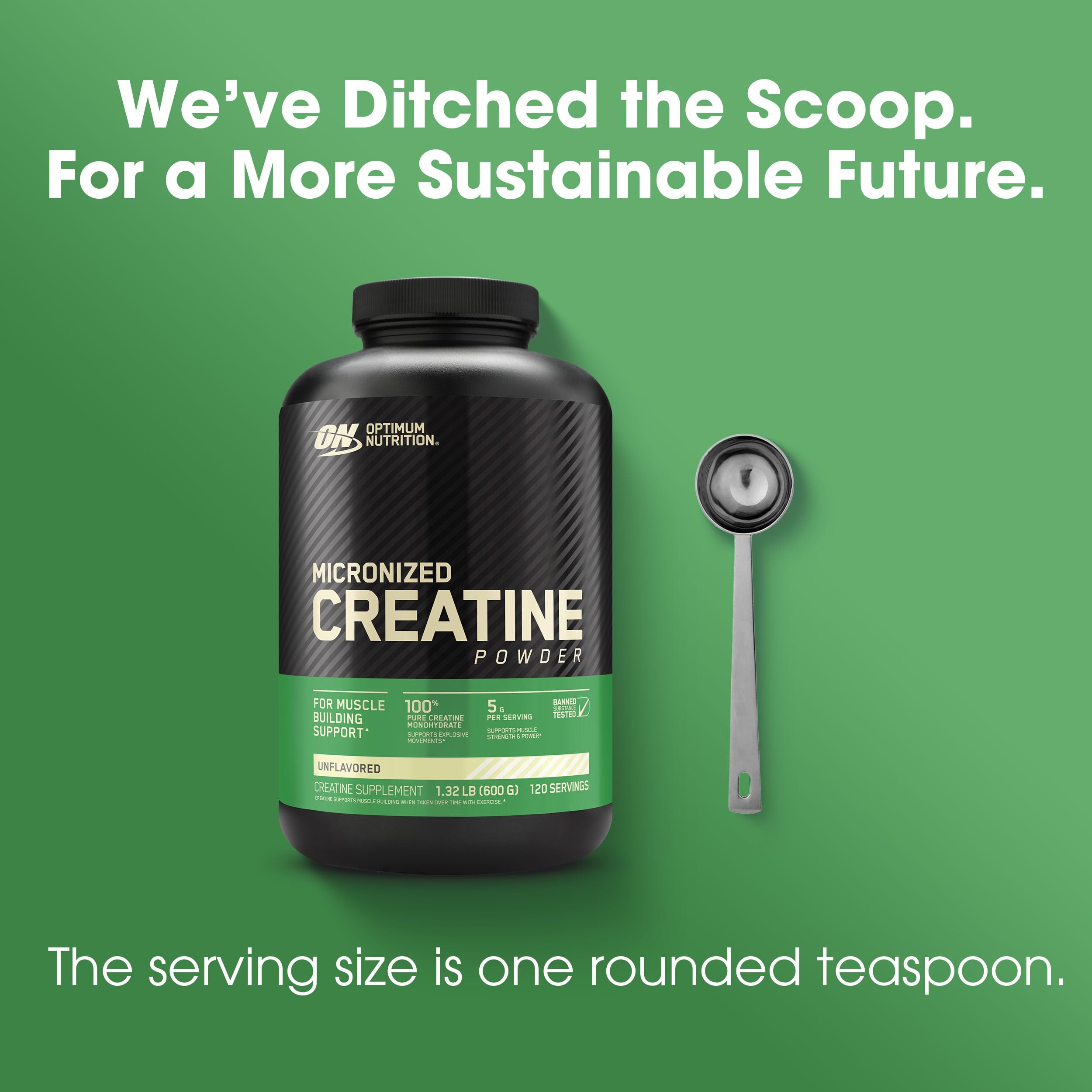 Creatine Review