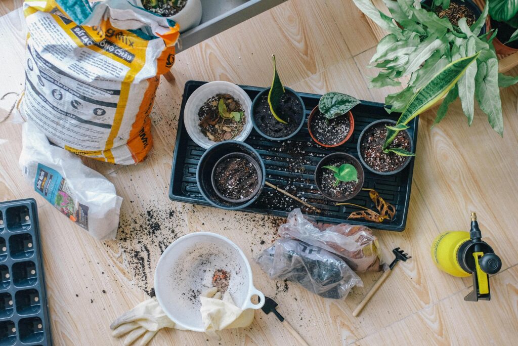 Ultimate Guide to Gardening for Beginners